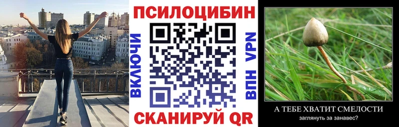 закладка  Тихорецк  Псилоцибиновые грибы прущие грибы 